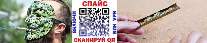 БУТИРАТ BDO 33% закладка Орлов
