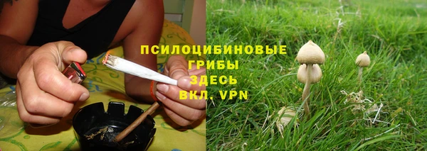 apvp Арсеньев