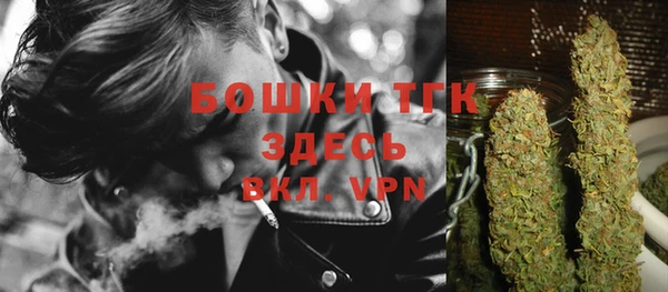 мдпв Кулебаки