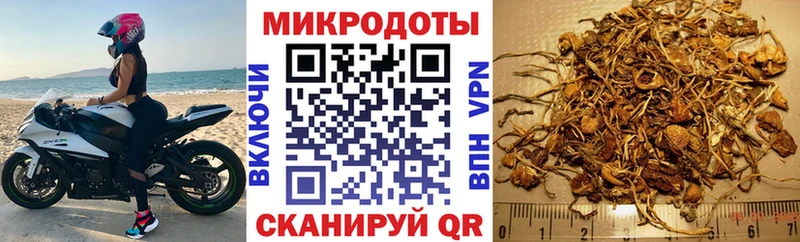 Псилоцибиновые грибы Psilocybine cubensis Орлов